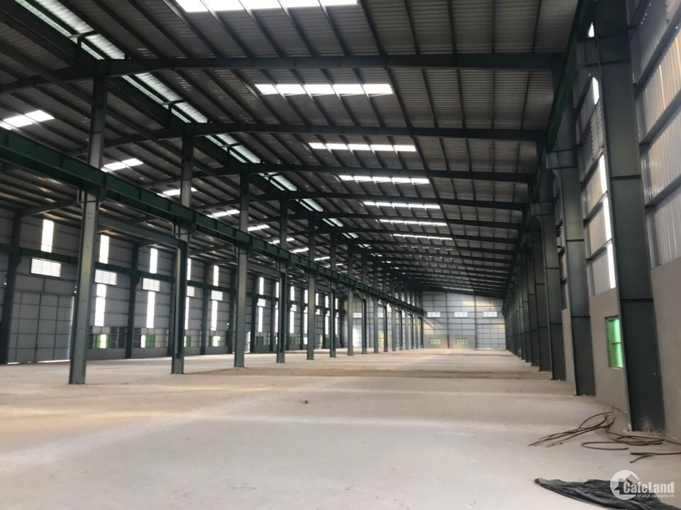 Thuê Kho Xưởng Khu Công Nghiệp Đà Nẵng – Không Gian Linh Hoạt Từ 600m² đến 10.000m², Giá Chỉ 45k/m² - Ảnh 3